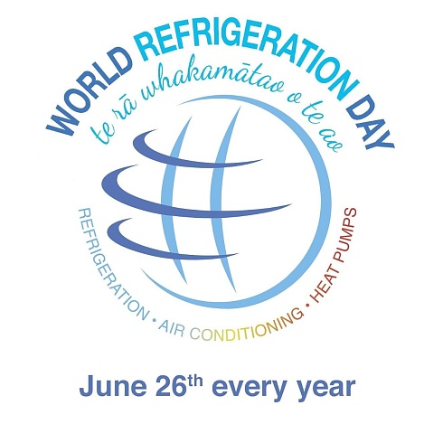 Международный День Холода